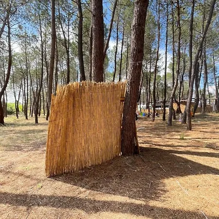 Campsite каравана “vibe” *